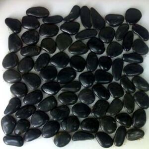 Nero Pebble Stone Polished  300x300 mm Mesh